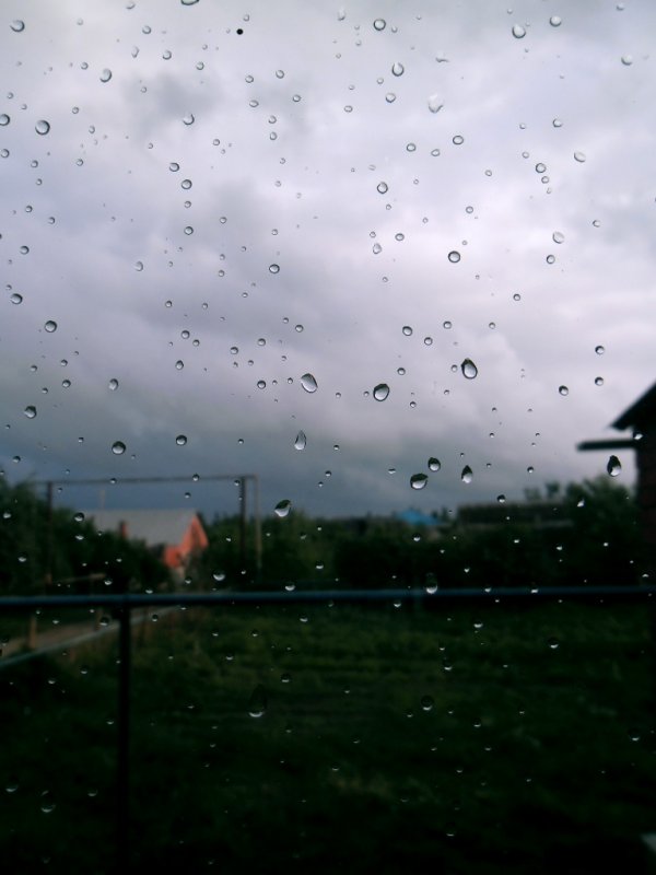 дождь - Елена Шуваева