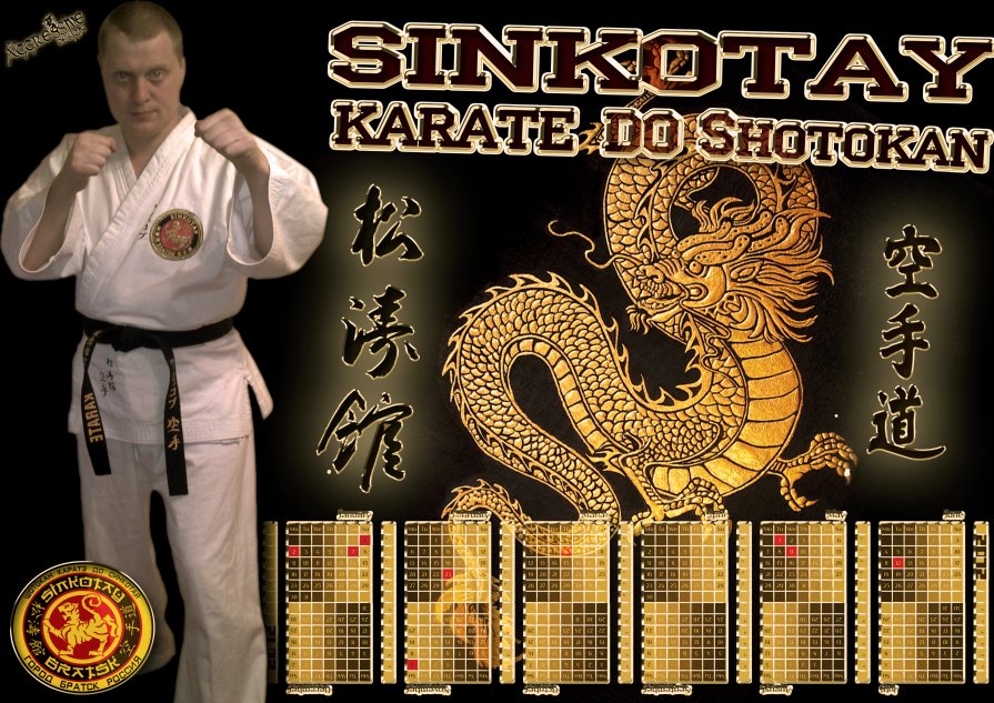 karate - денис васюков