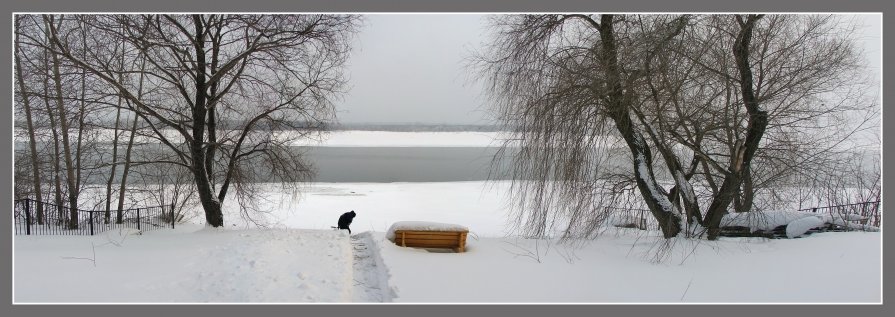 Фрагмент - Павел Самарович