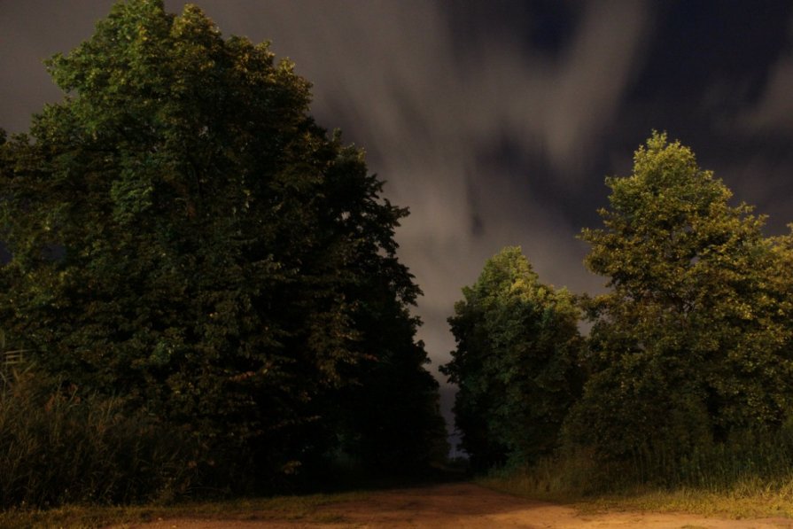 Ночные деревья - Олег Волков