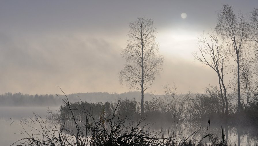 Утро,туман и тишина - сергей ершов