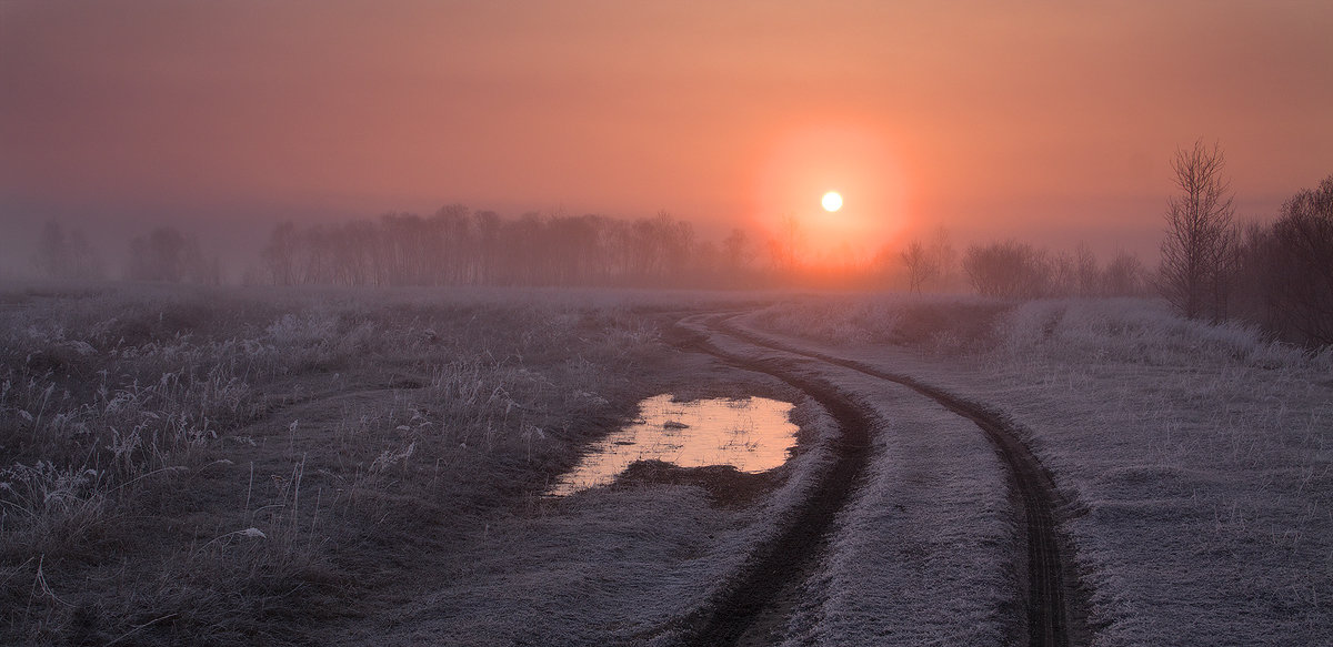 * - Николай Морский 