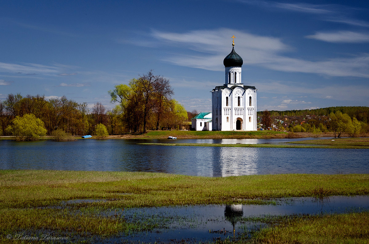 Церковь Покрова на Нерли - Татьяна Тарасова