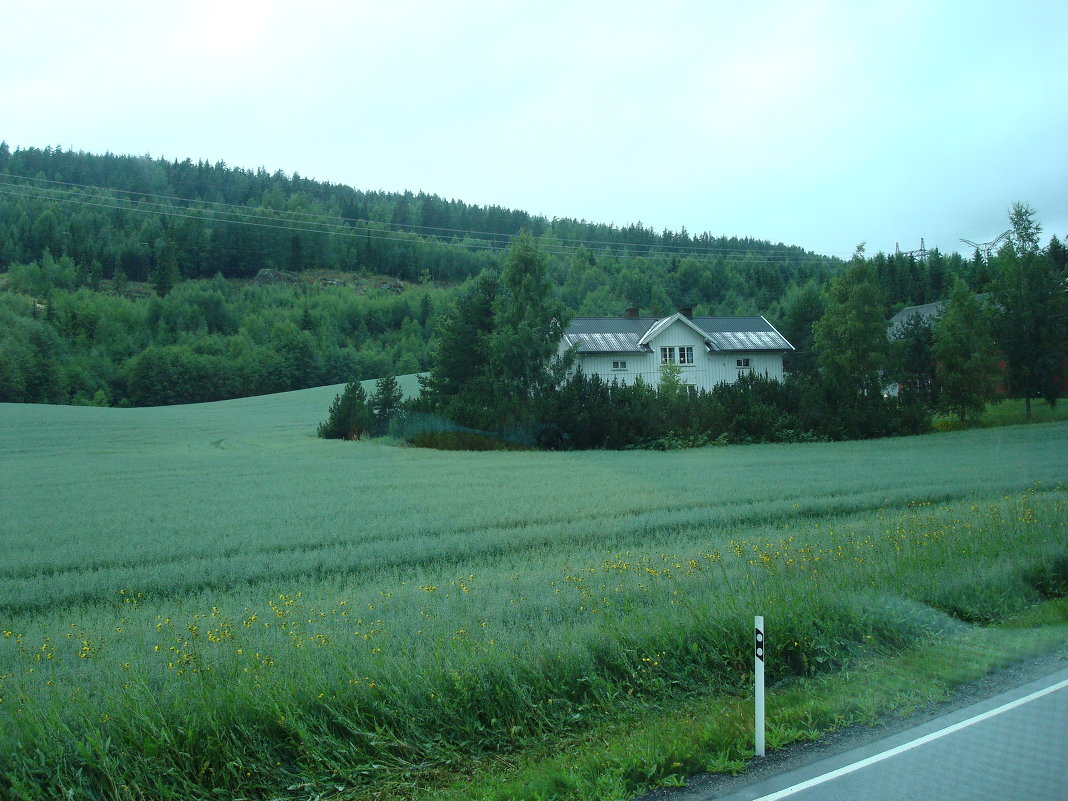 Домик у дороги - svk *