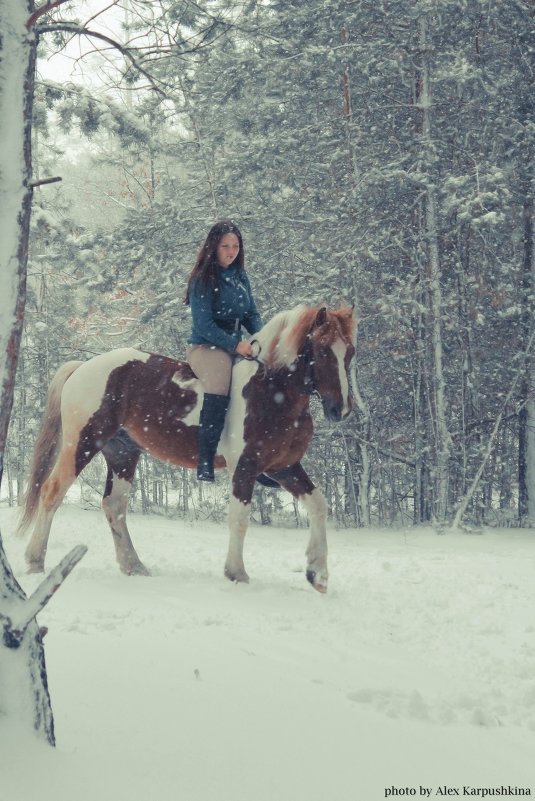 Зимняя сказка с конем - Александра Карпушкина
