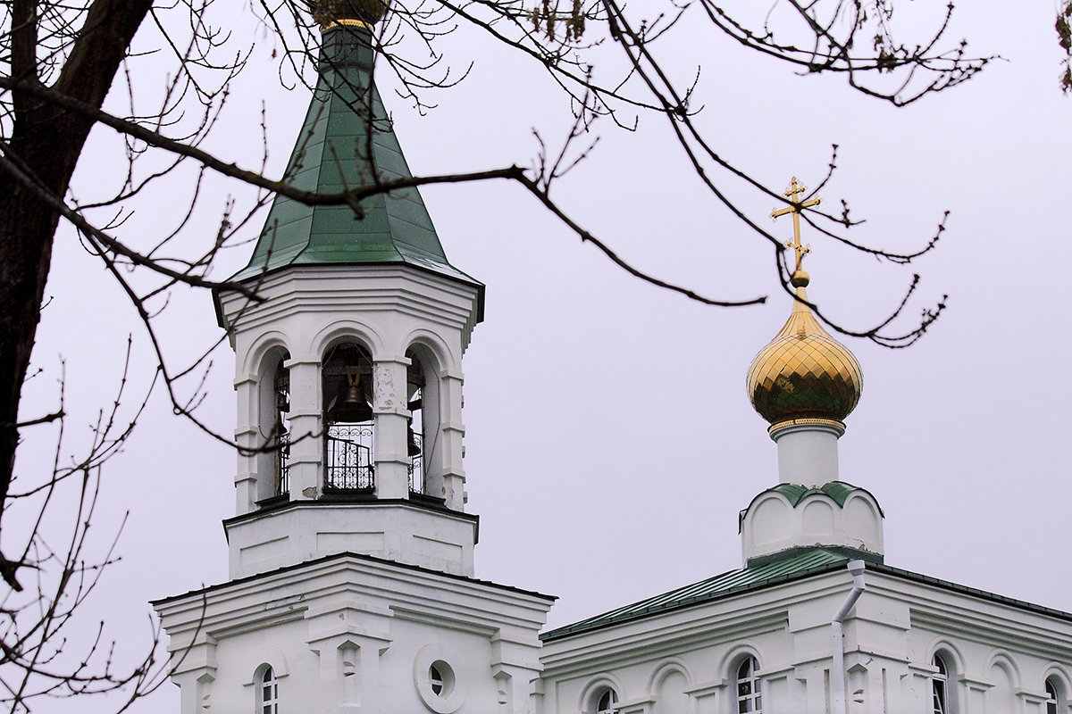 Вербное воскресение - Лариса Кайченкова