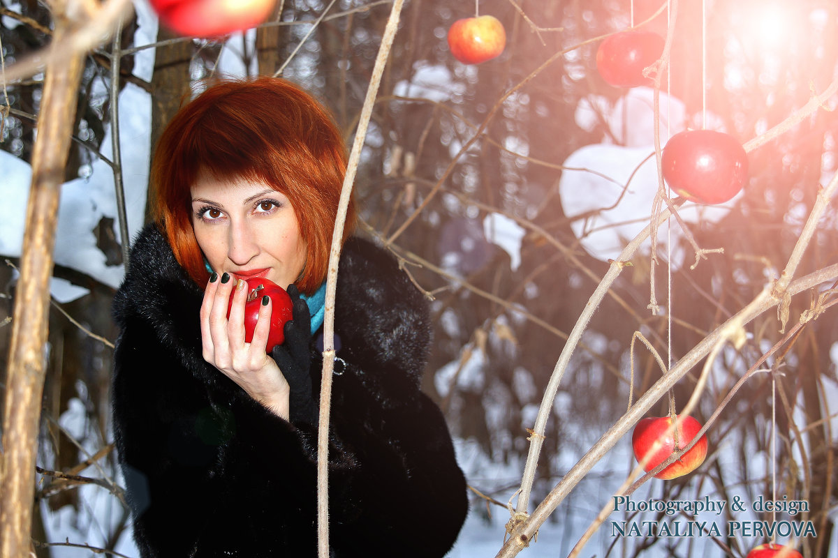 Зимние яблоки - Наталья Первова
