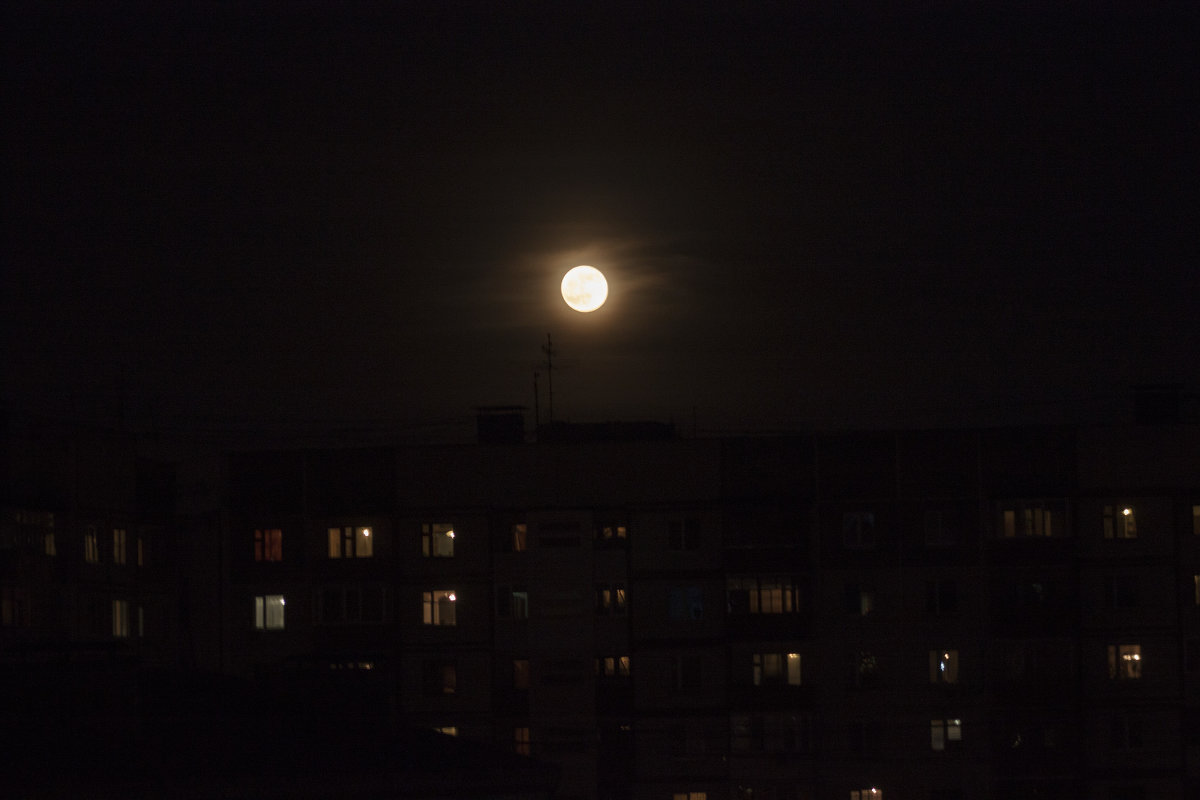 Луна на крыше - Екатерина Калинченко