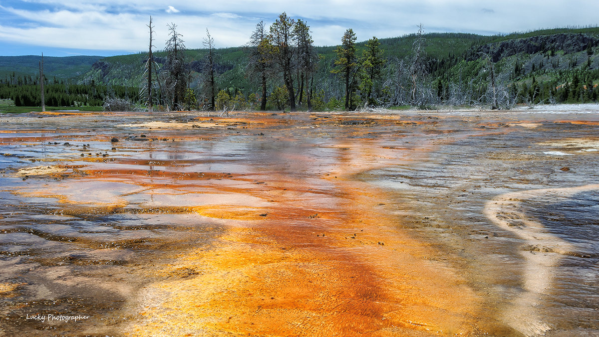 Yellowstone - Lucky Photographer