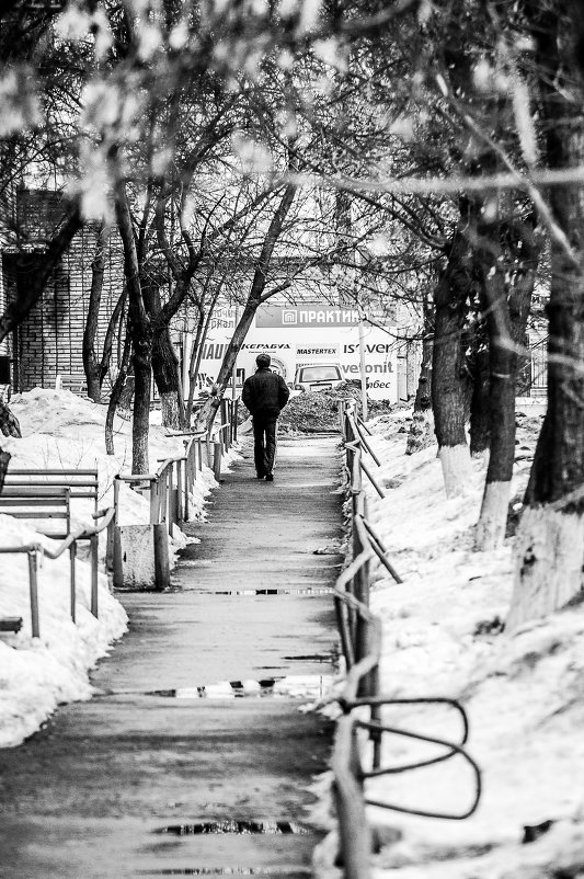 одинокий прохожий... - Александр Моисеев