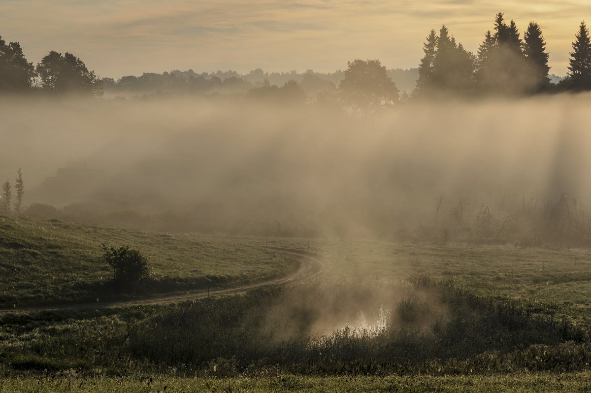 Morning - Ilze Strēle