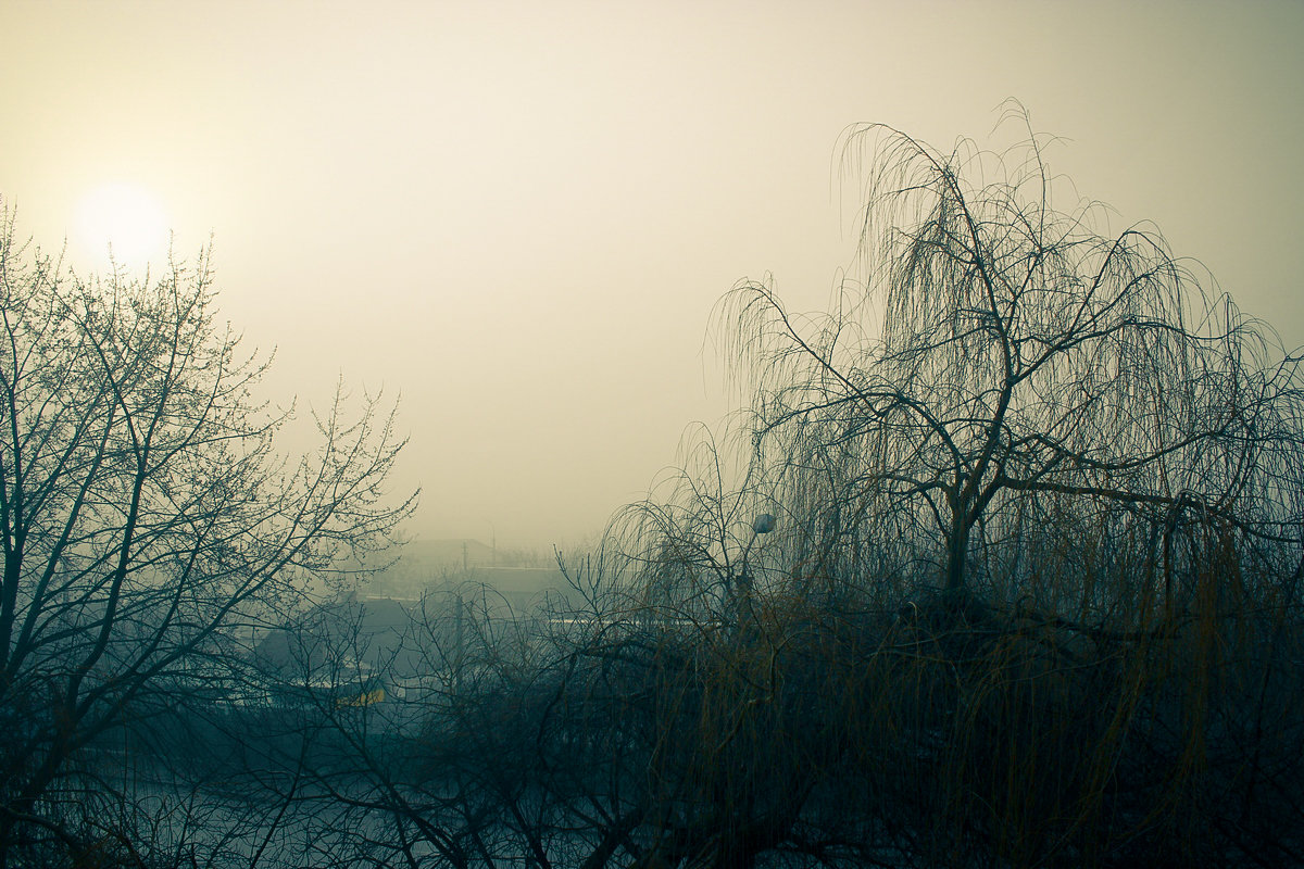 Туманное утро - bvi1973 
