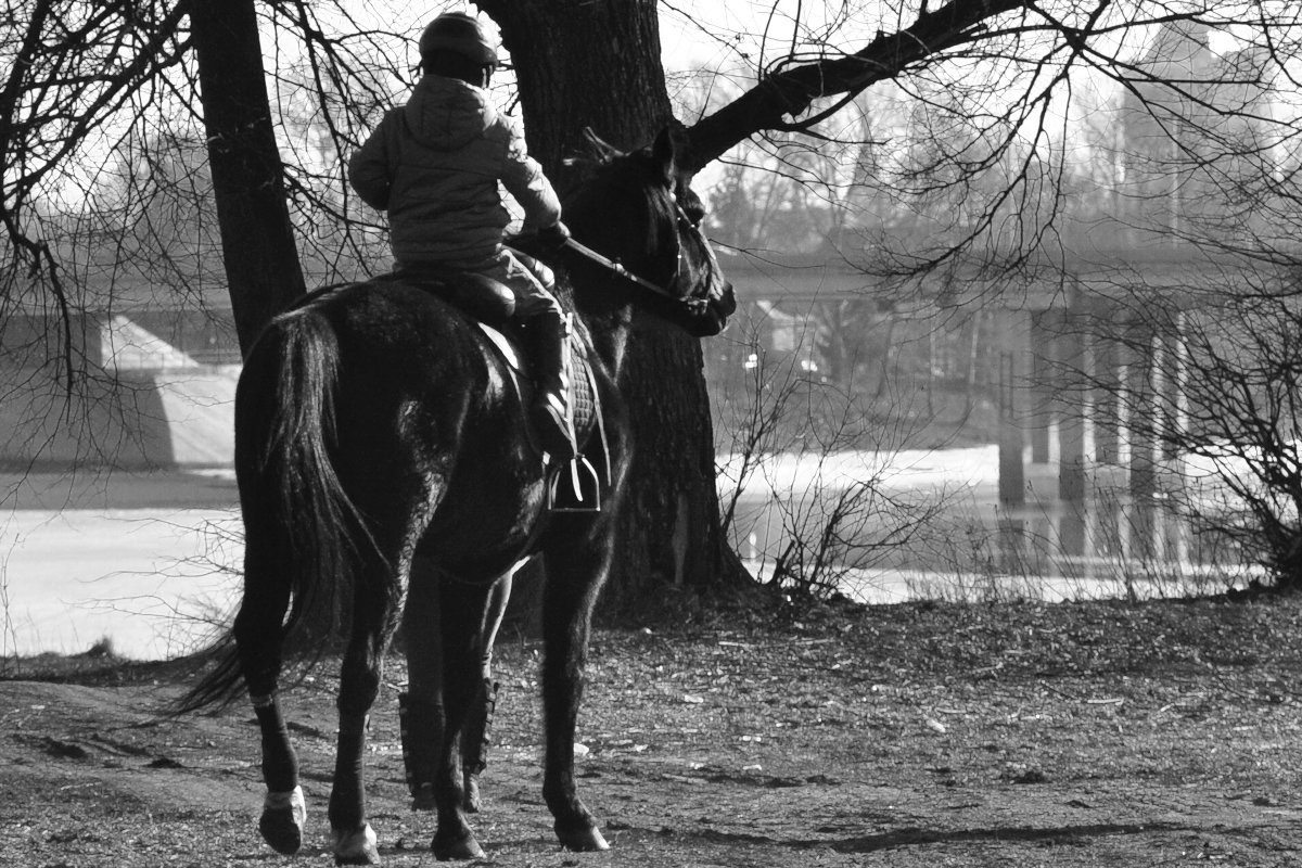 Конь и его мальчик - Ирина Соловьева