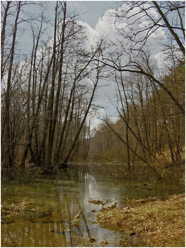 Весенняя вода - Сергей 