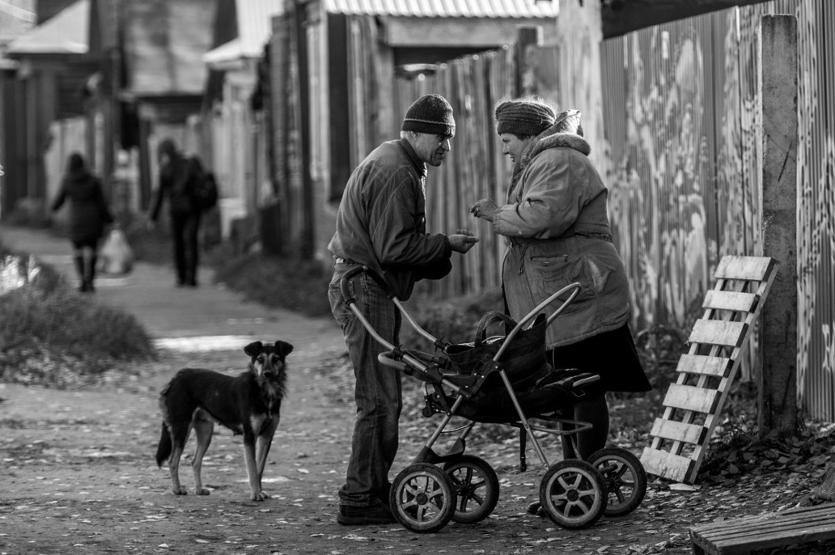 Жанровая фотография