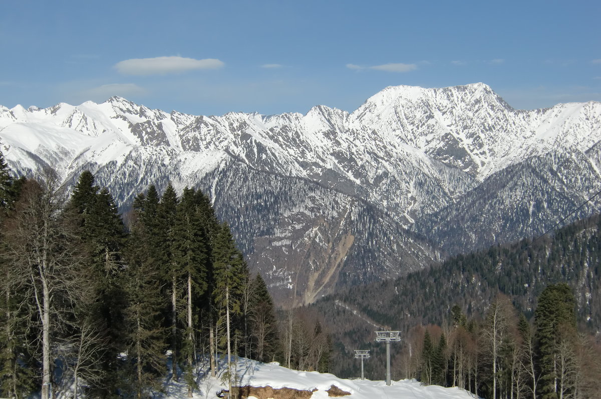 Красная поляна - Маргарита Сазонкина