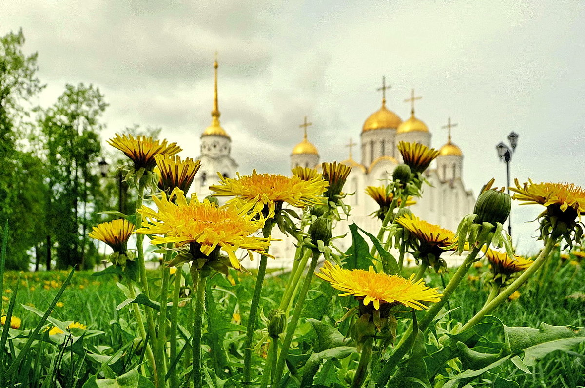 Картинки церковь и цветы