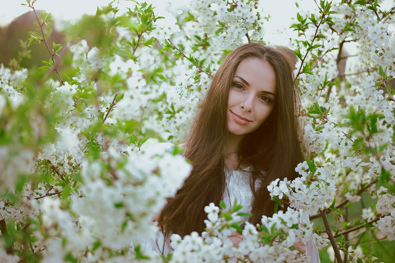 Flowers - Сергей Белецкий