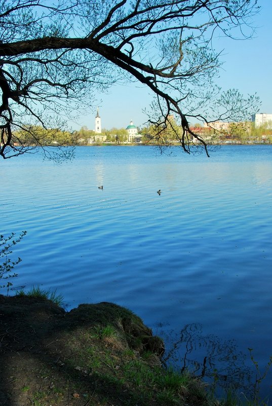 Белое озеро - Елена Познокос