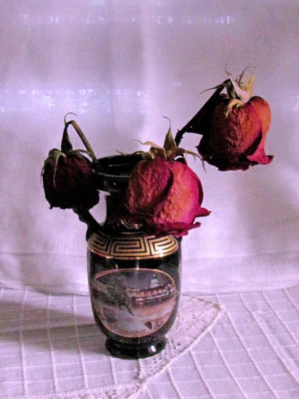 засохшие розы - Ольга Иргит