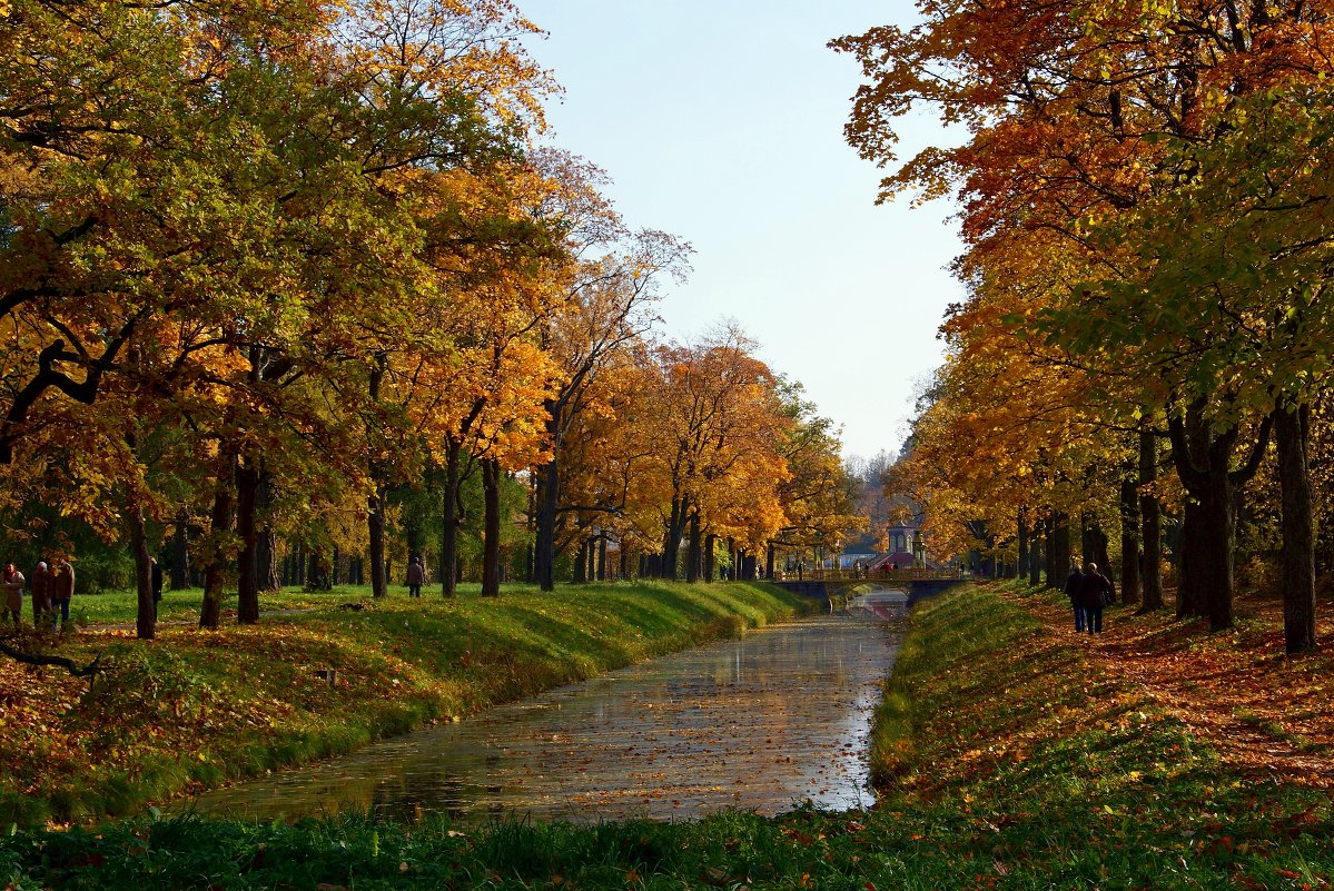 Осенью в парке - Наталия Короткова