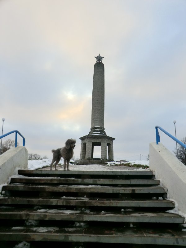 Пудель и Памятник... - Владимир Павлов