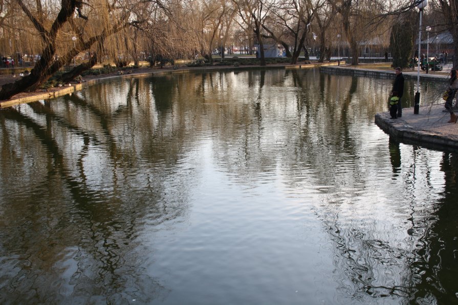 фото Парковый водоём - Олег Д