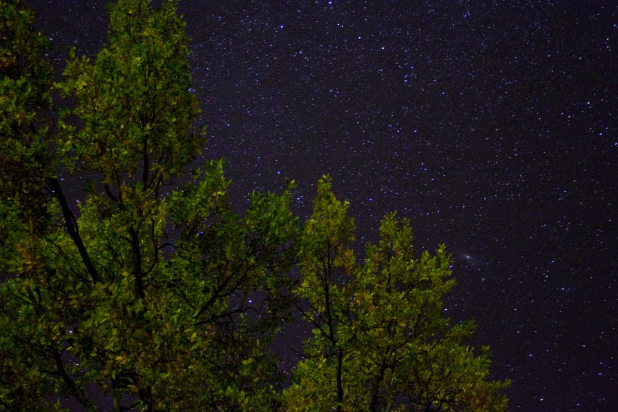Звездное небо над Горынью - Виктория Шалик