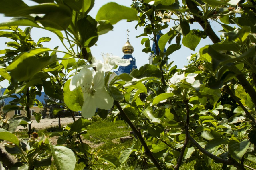 Вечное... - Александр Барышев