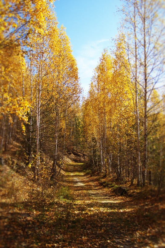 Осенняя тропа - Роман Суханов