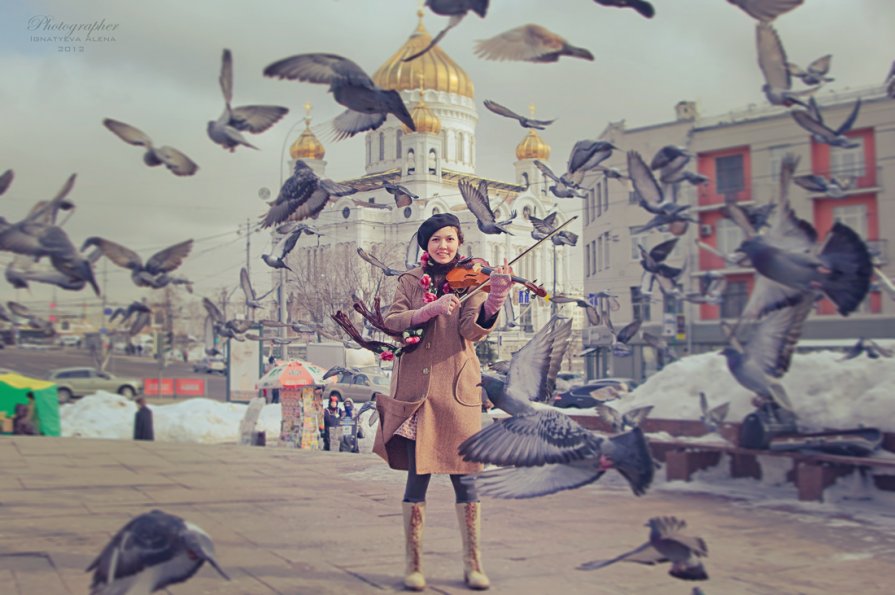 Скрипка и голуби - Марта Май
