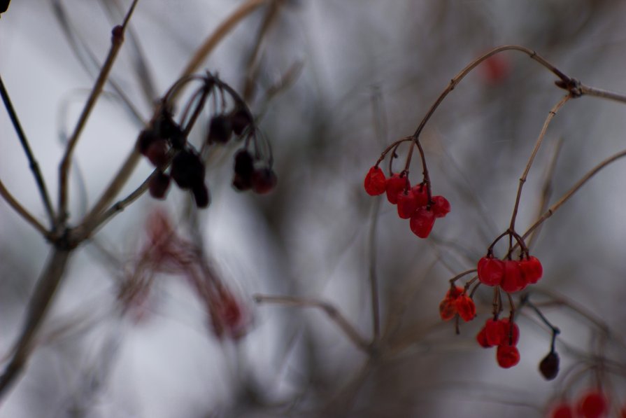 О вечном.... - photographer Kurchatova