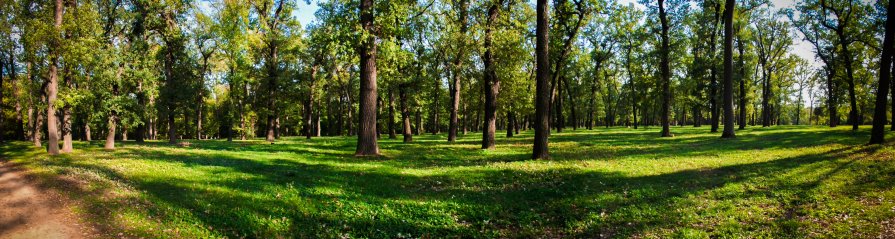 панорама - Александр Кот