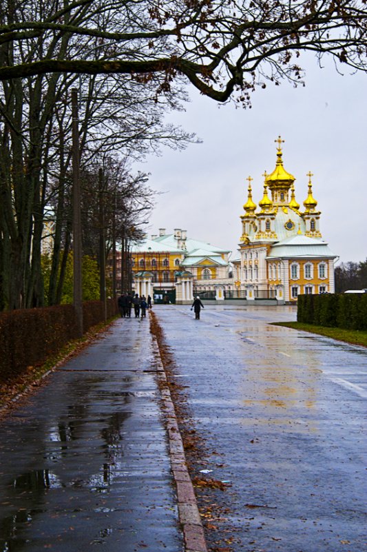 Петергоф осенью - Vladimir Gershfus