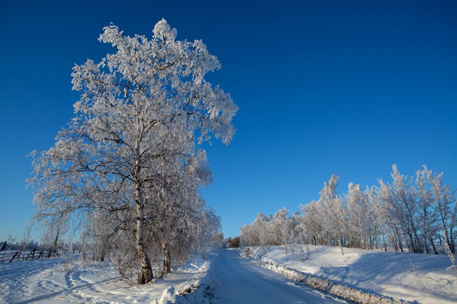 Зимняя дорога - Alexander Dersu