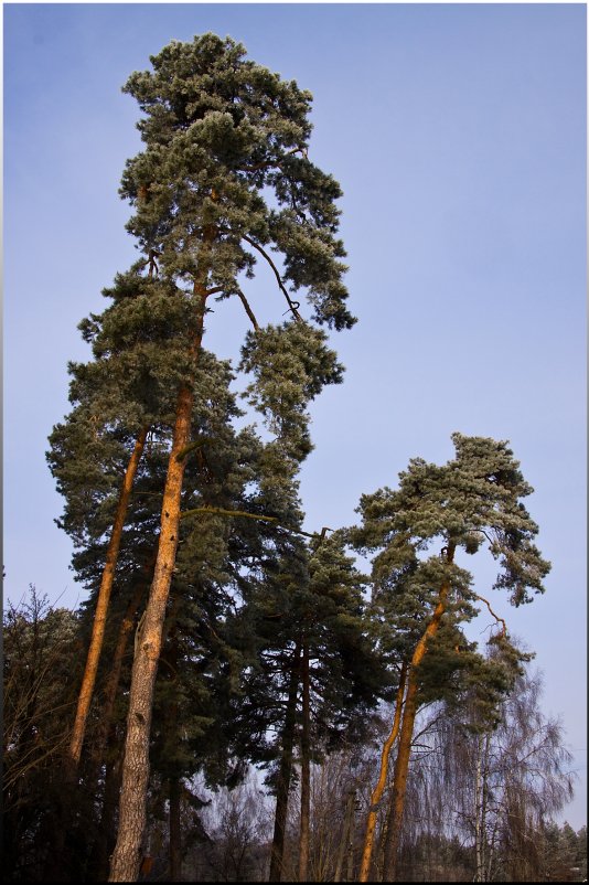 Полдень - Олег Каплун