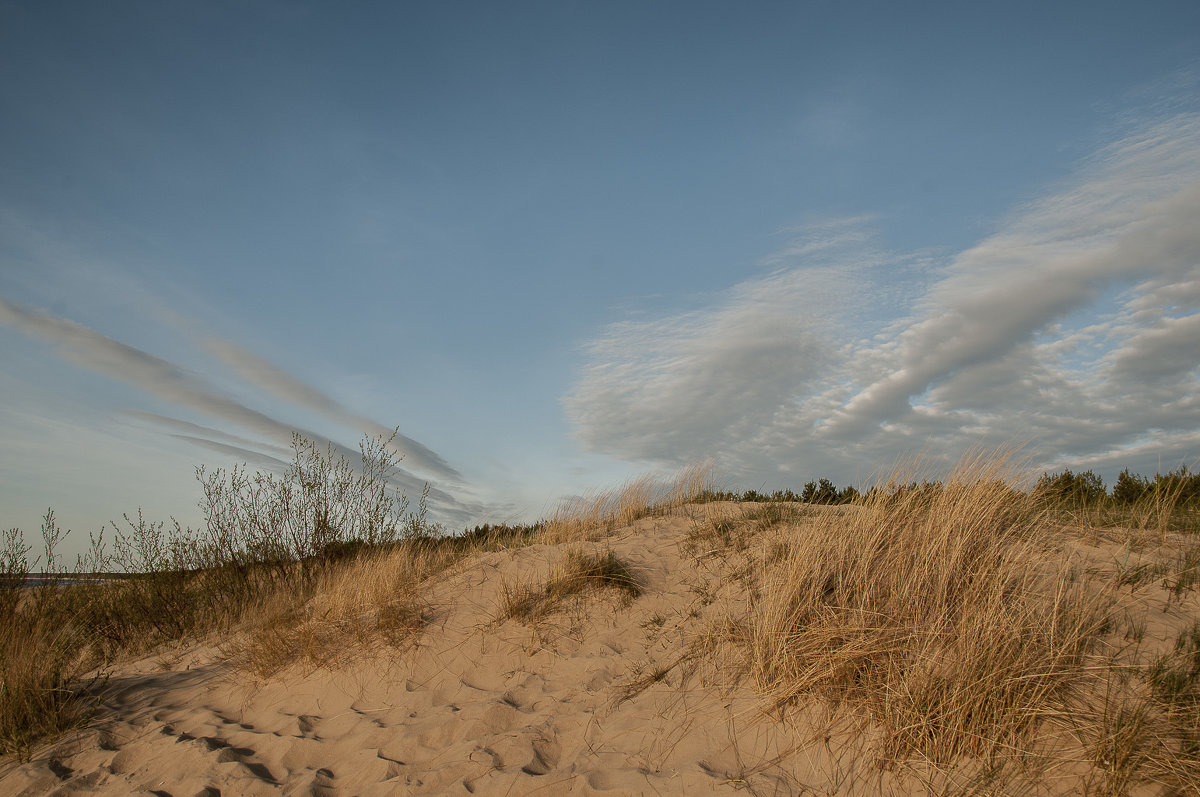 By the sea - Ilze Strēle