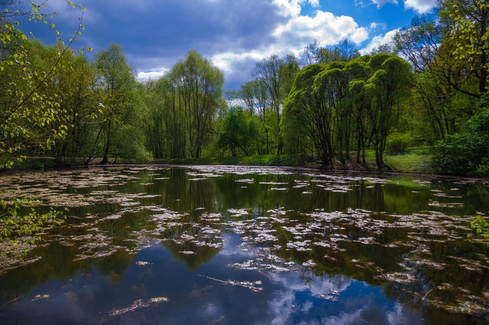 *** - Светлана .