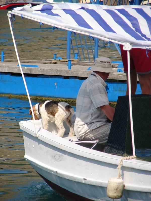 Много в лодке, не считая собаки - Юлия Грозенко