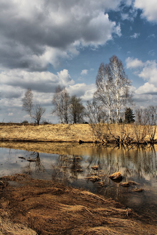 Весна на реке* - Maxim Agafonoff