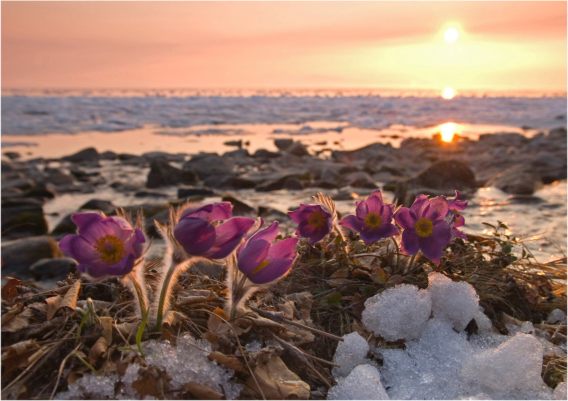 Весна на Байкале - Владимир Тюменцев