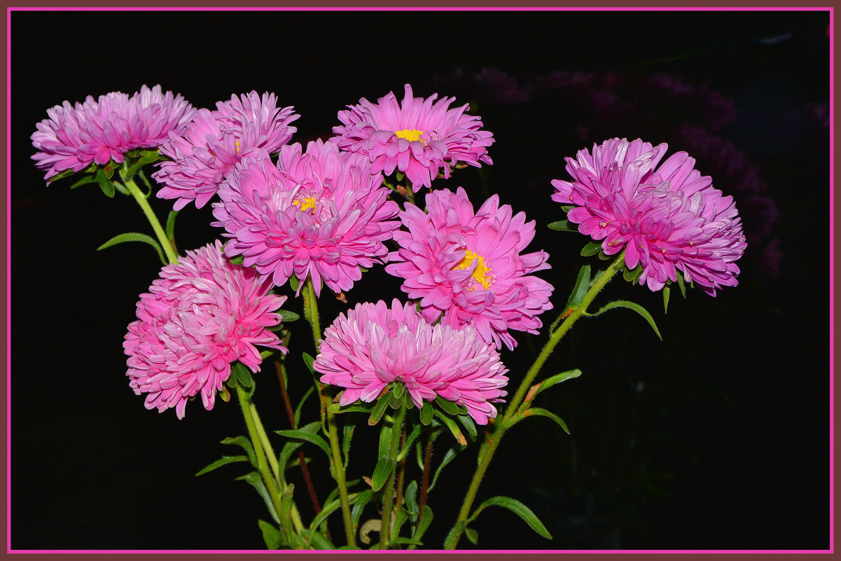 Цветы на праздник - юрий Амосов