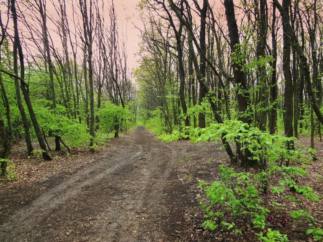 Road entfernte - Денис/Алина Крылов(а)