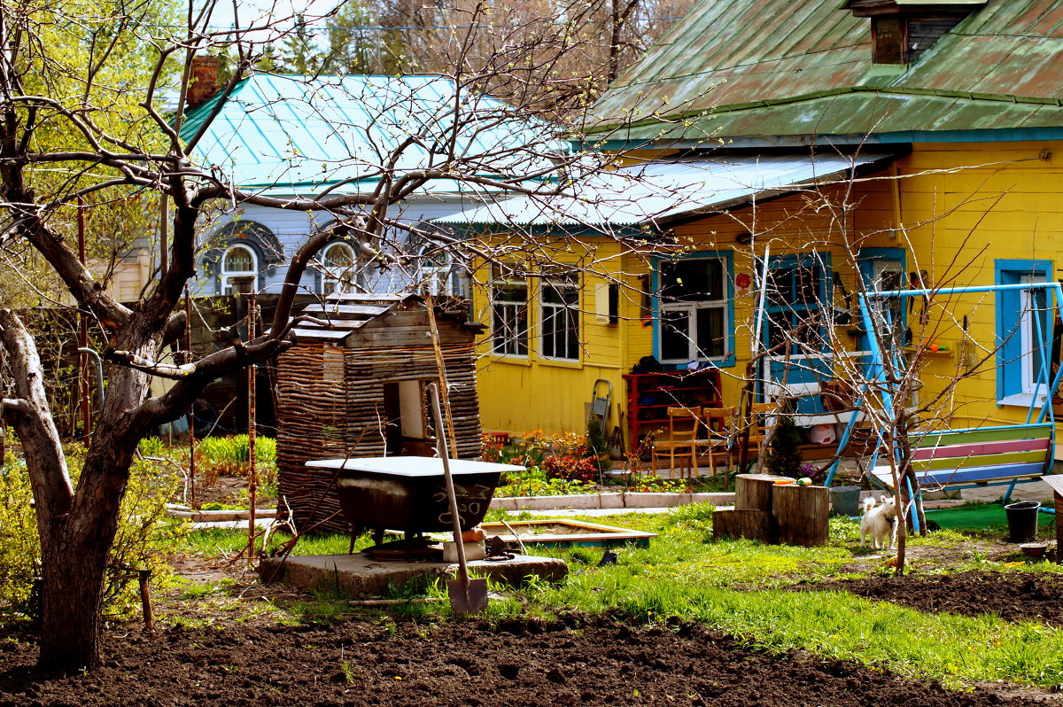 Сельская жизнь в центре города - Дмитрий Сопыряев