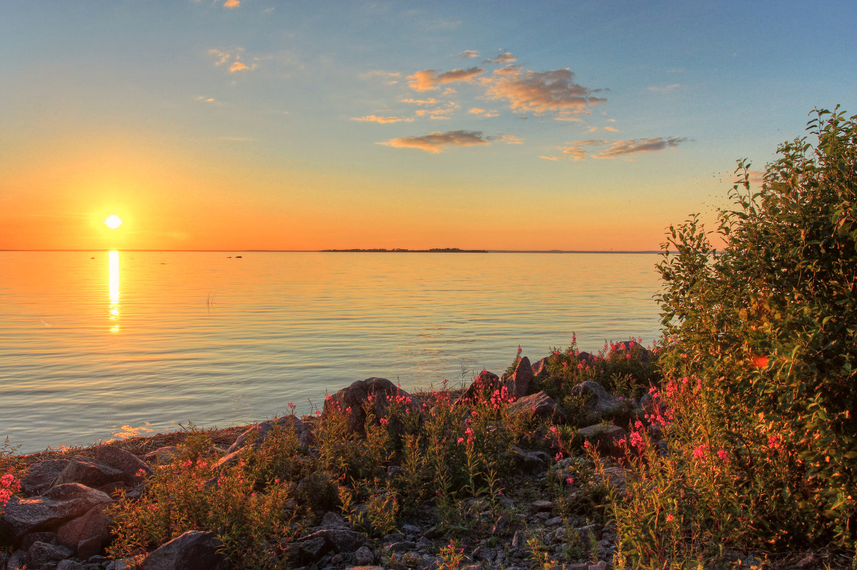 Финский залив Репино осень