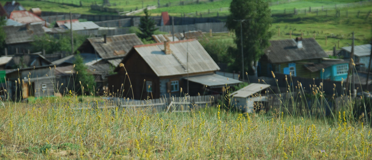 Травушка - Наталья Покацкая