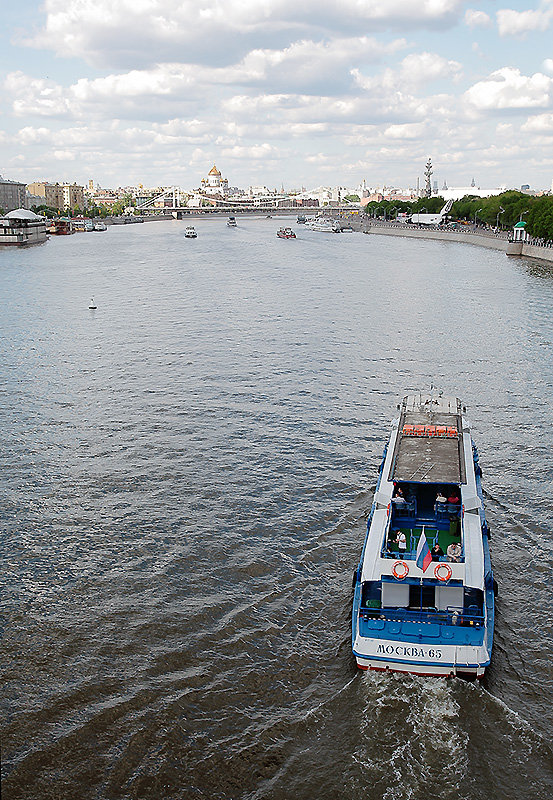 вид с Пушкинского моста - Тарас Золотько