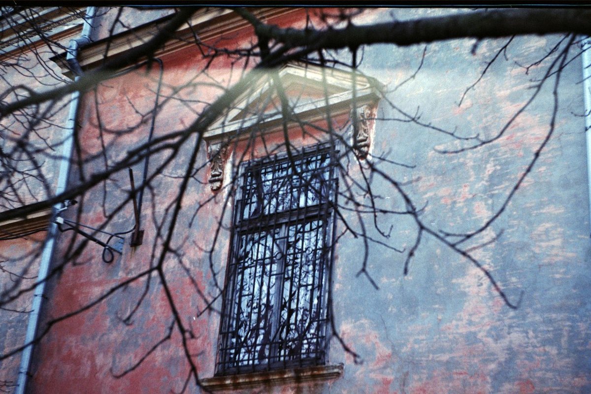 Window - Арина Ким
