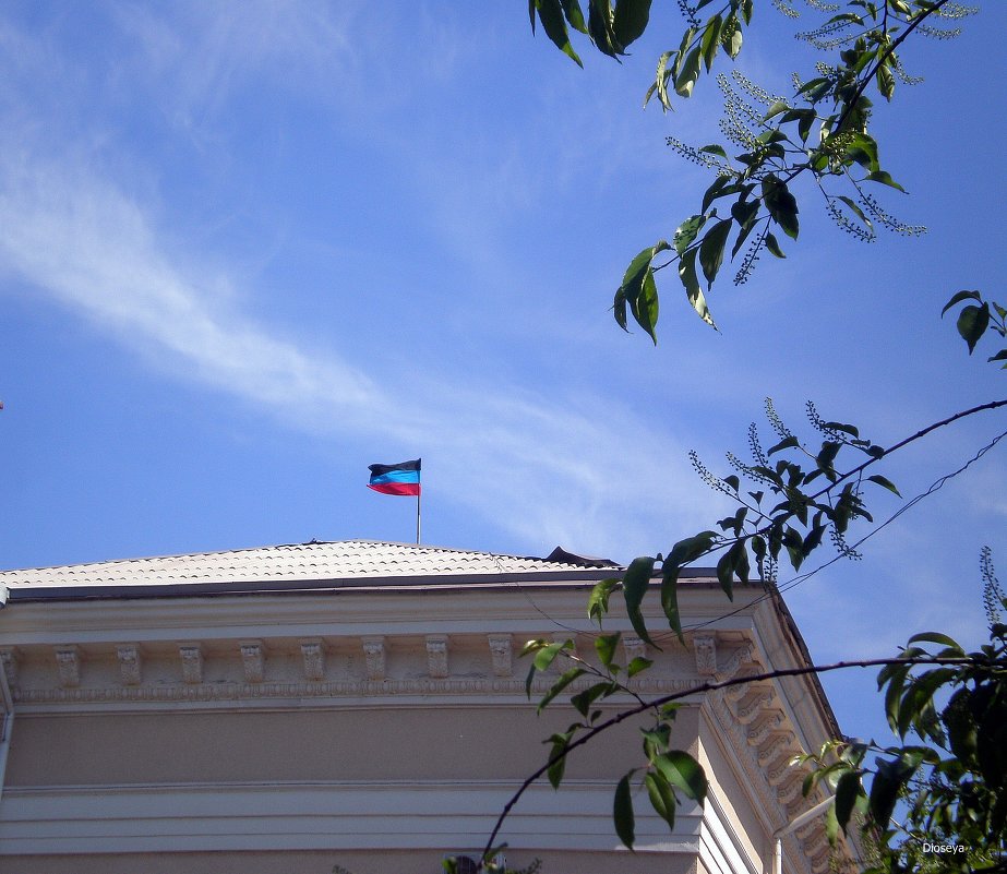 Флаг Донецкой Народной Республики - Татьяна Пальчикова