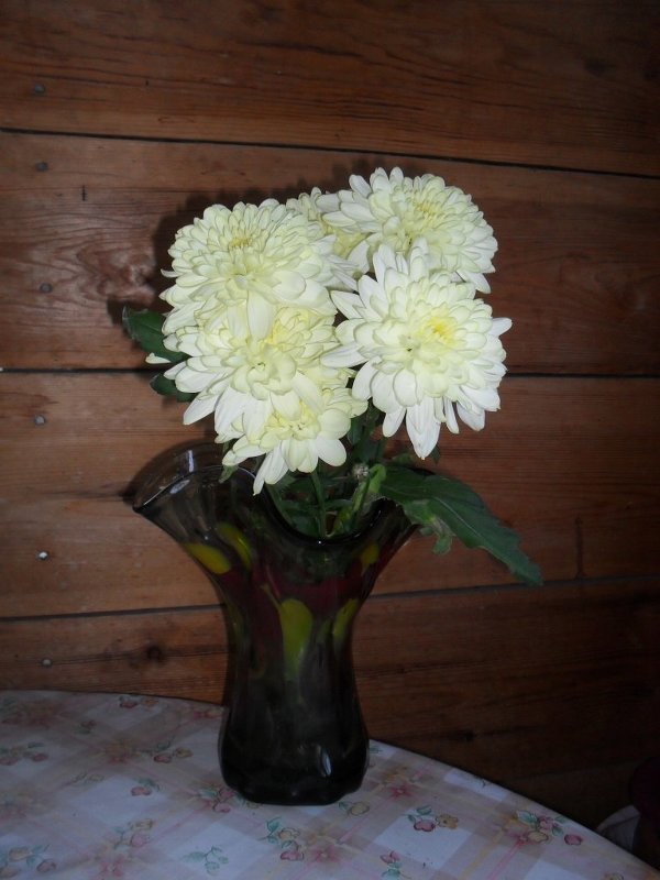 Цветы в вазе - Анатолий 